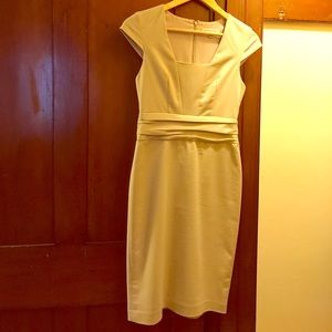 Banana Republic form fitting dress