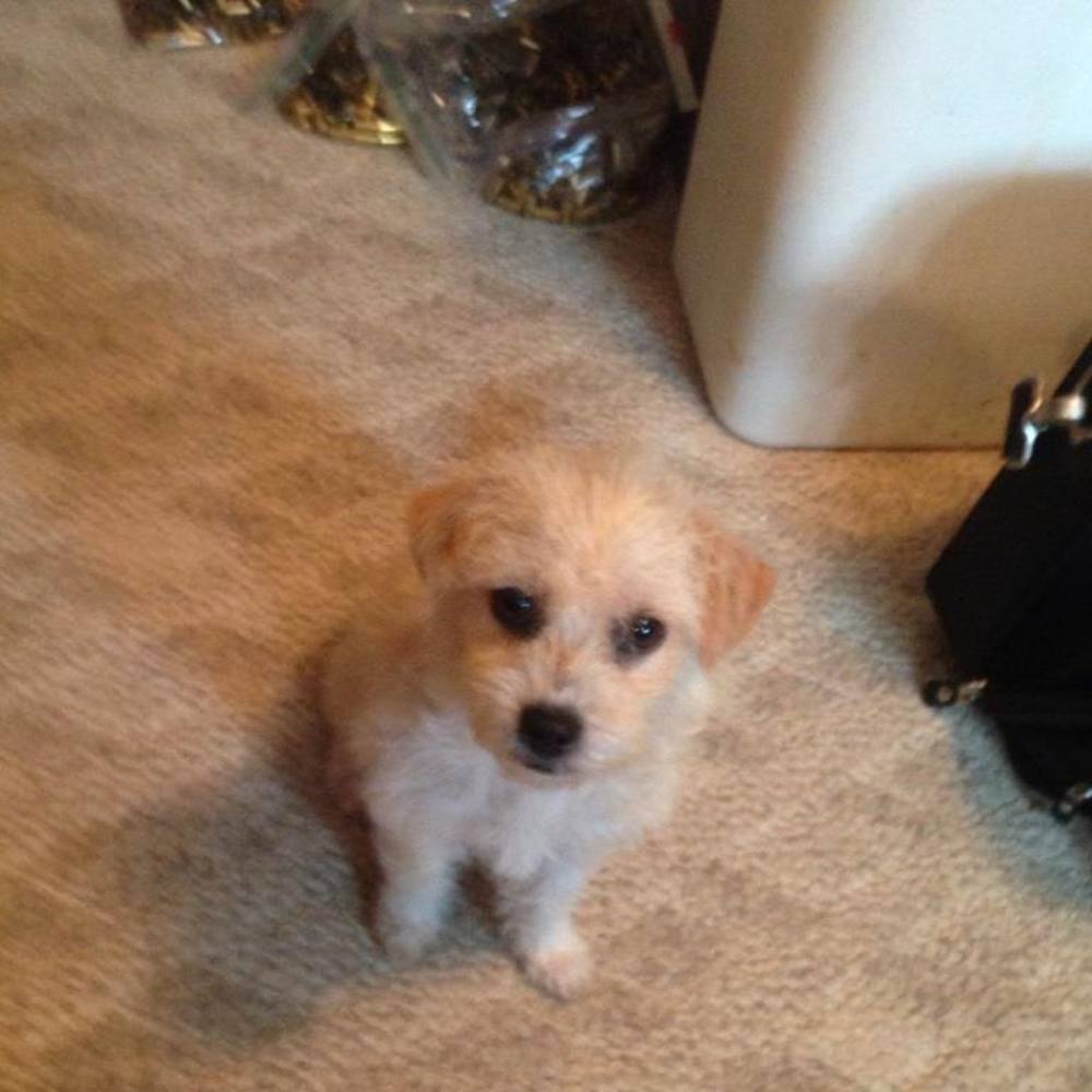 Meet your Posher, Barbara