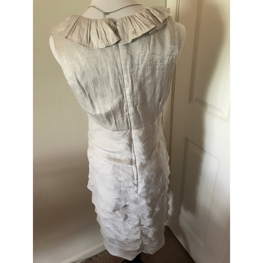 Silver Dress - Picture 2 of 4