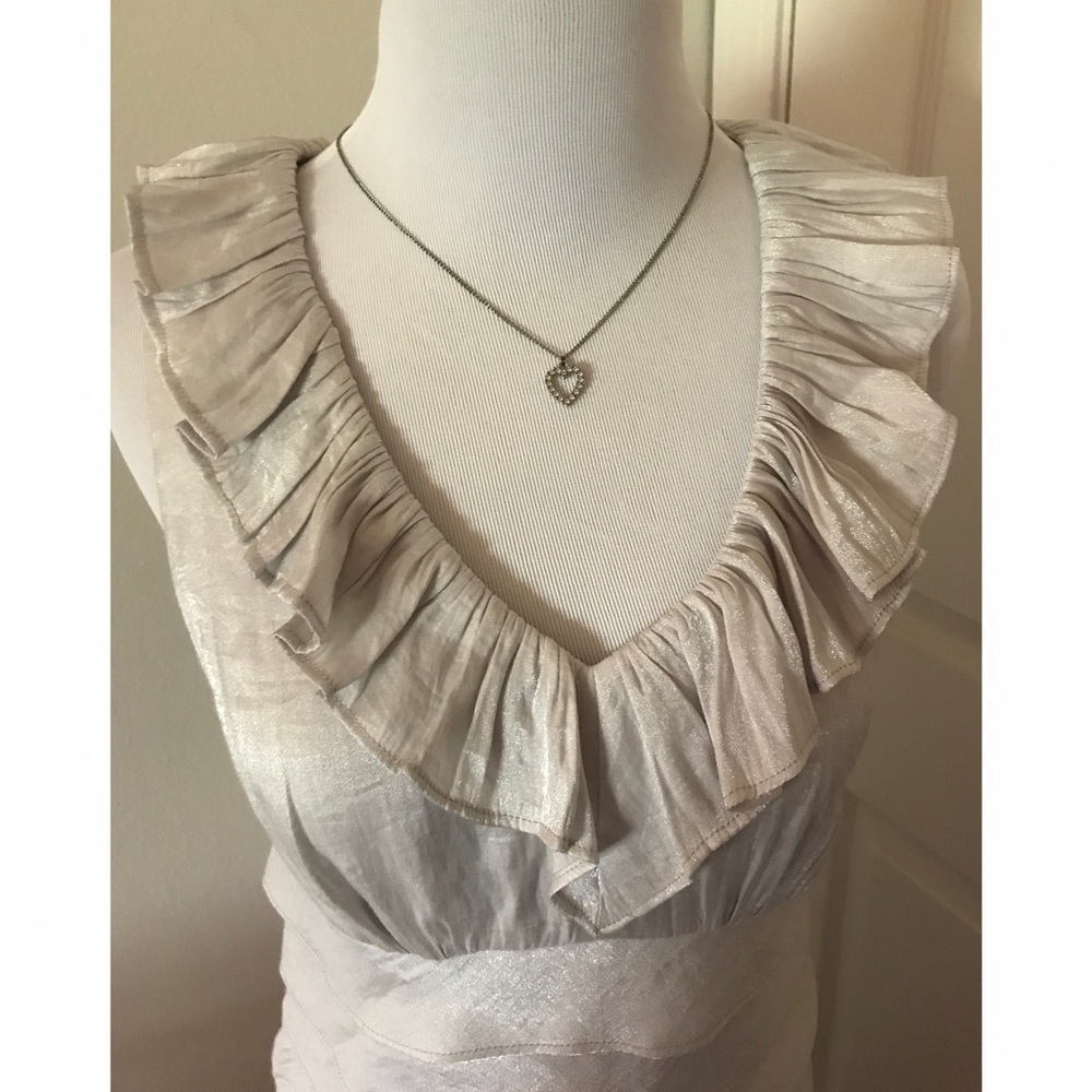 Silver Dress - Picture 3 of 4