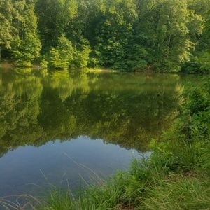 Meet your Posher, Becky