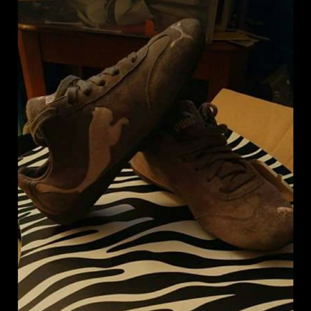 Pumas