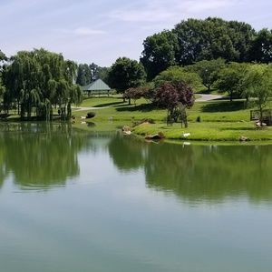 Meet your Posher, Mechelle