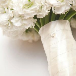 Meet your Posher, Sheryl