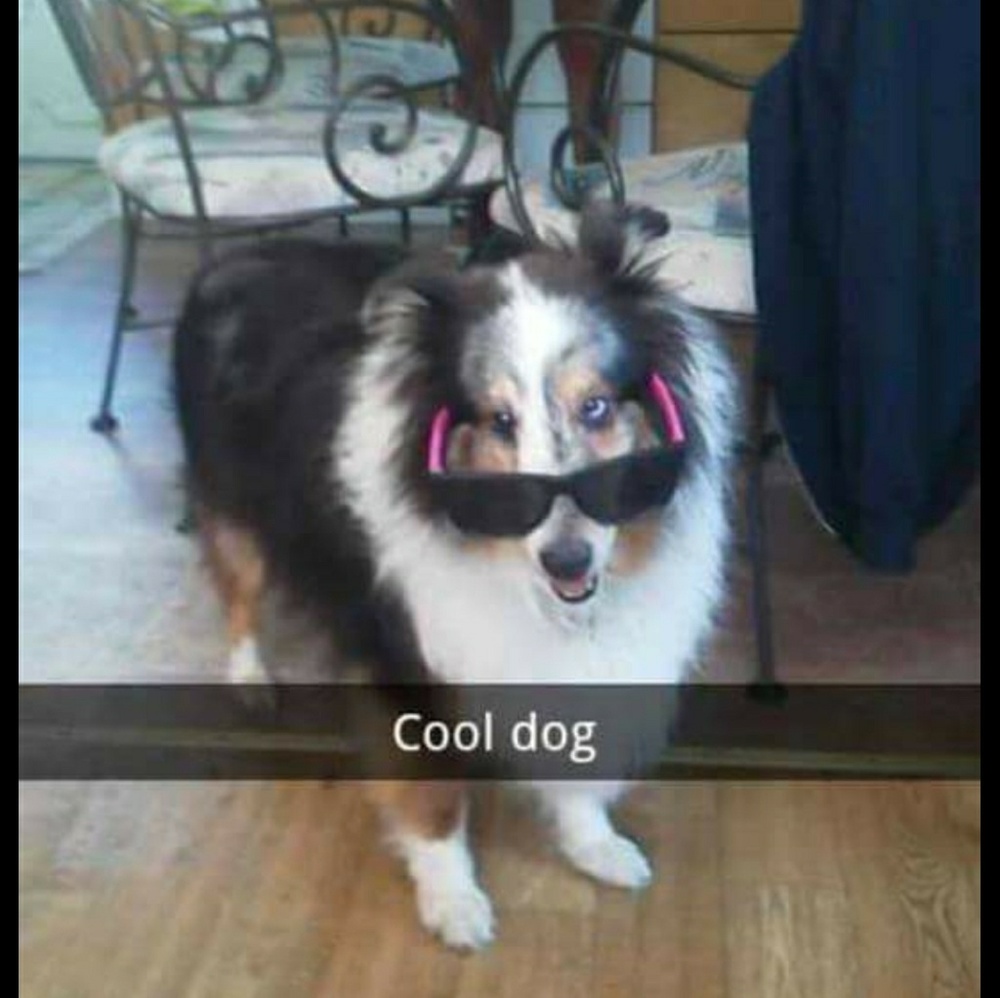 Meet your Posher, Brian