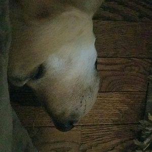 Meet your Posher, Sonya