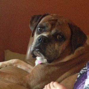 Meet your Posher, Emma