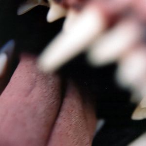 Meet your Posher, Tyler