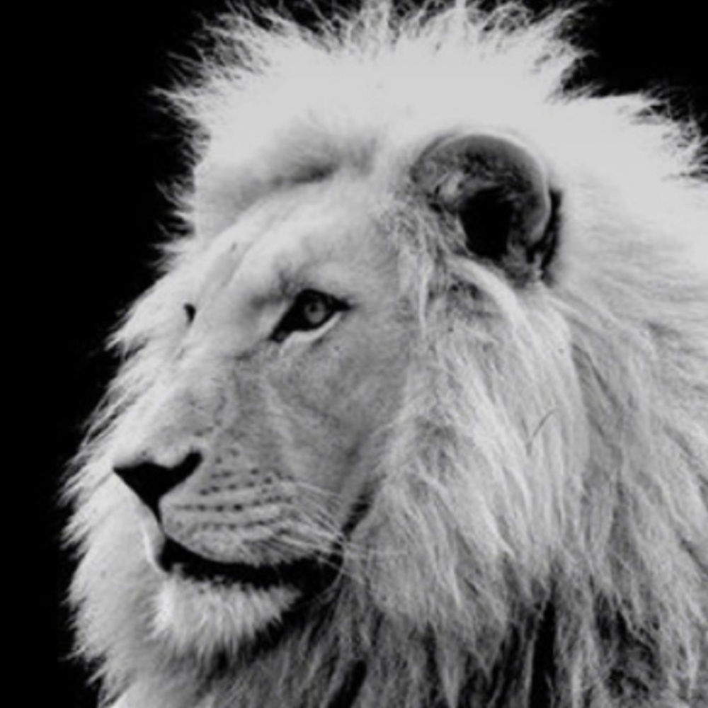 Meet your Posher, Collin