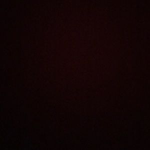 Meet your Posher, Lillian