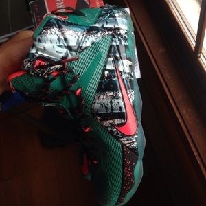 LeBron 12s