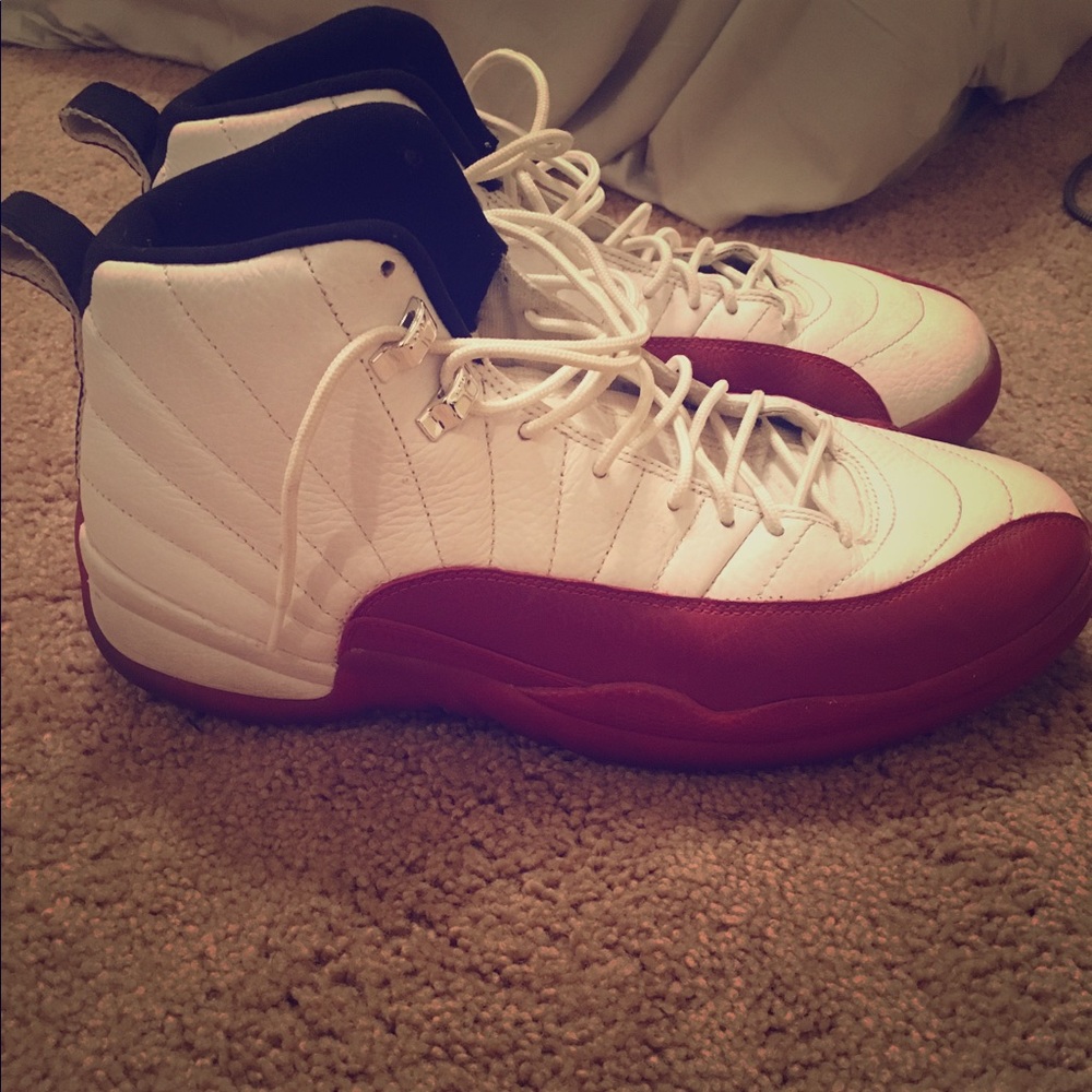 Air Jordan 12 retro 2009 release