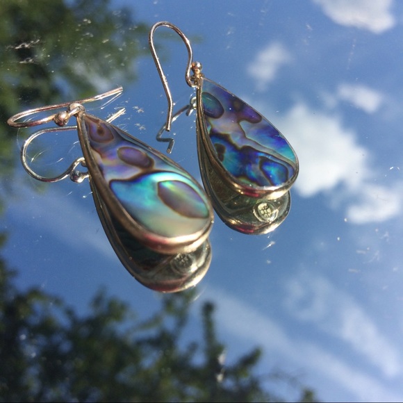 Jewelry - Natural Abalone Shell gemstone fishhook earrings