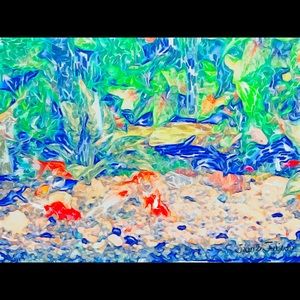 Meet your Posher, Sariah