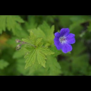 Meet your Posher, Audrey