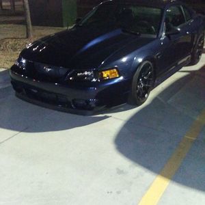 Meet your Posher, Adam