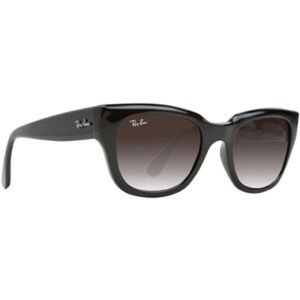 Ray Ban rb4178 black