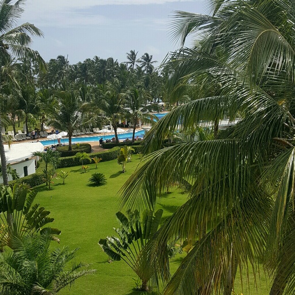 Meet your Posher, Alba - Picture 1 of 1