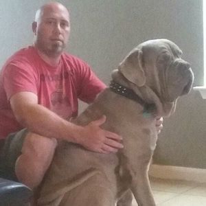 Meet your Posher, Philip