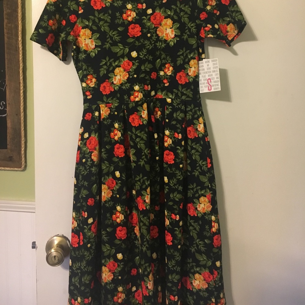 LulaRoe Amelia dress