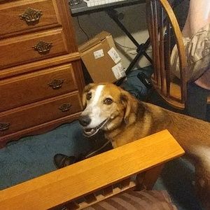 Meet your Posher, Matt