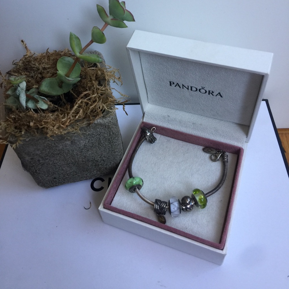 Pandora Fullset Charm Bracelet