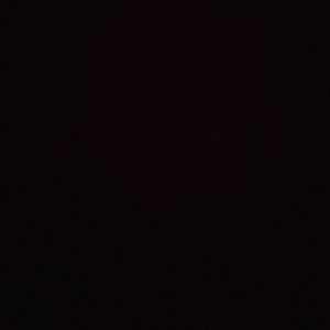 Meet your Posher, Isabella