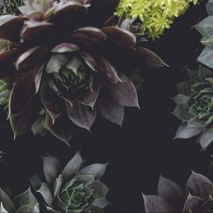 Meet your Posher, Gloria