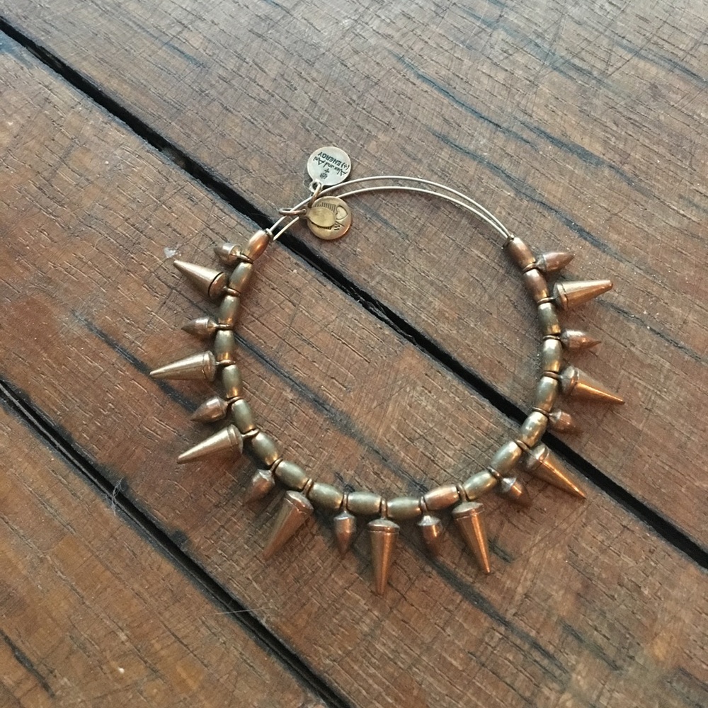 Alex and Ani spike bangle