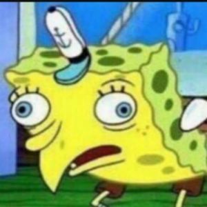 Meet your Posher, Vincent