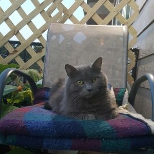 Meet your Posher, Antonio