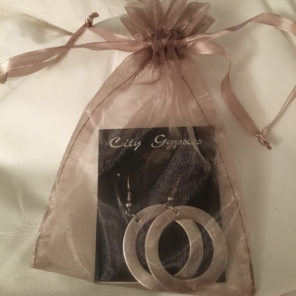 Brushed SILVER Circle Dangle Earrings - Picture 5 of 5