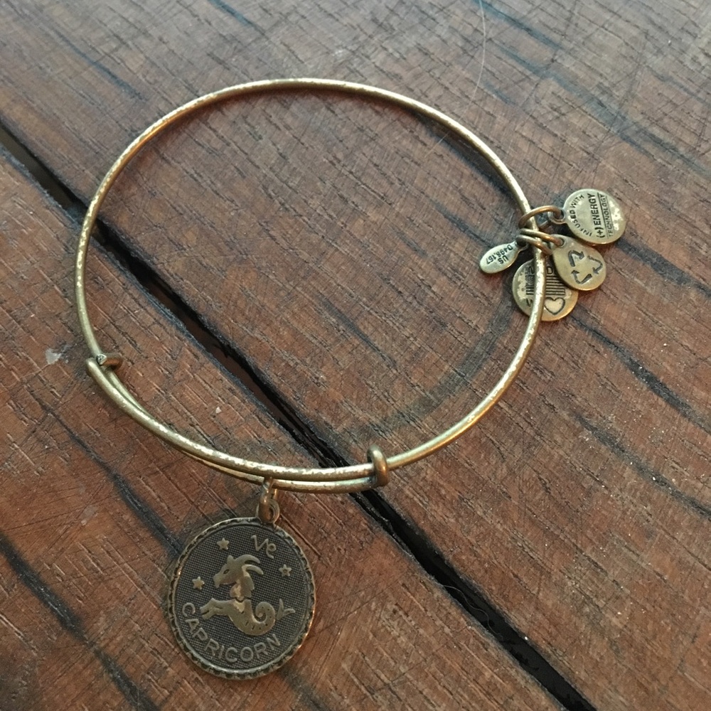 Alex and Ani Capricorn charm bracelet