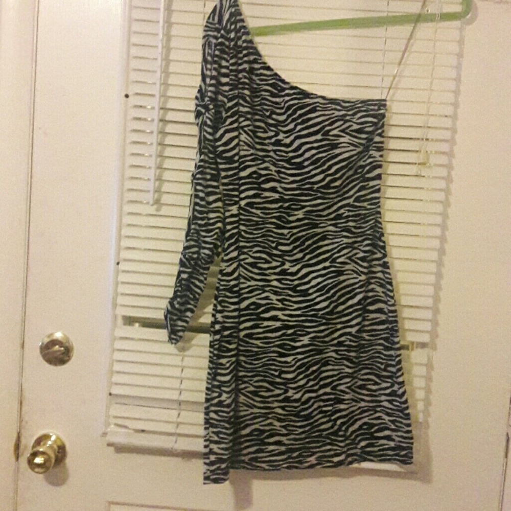 BKACK FRI DEAL!!!1 Sleeve zebra print dress