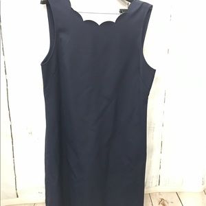 NWT Scalloped trim Shift Dress NAVY