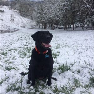 Meet your Posher, Julie