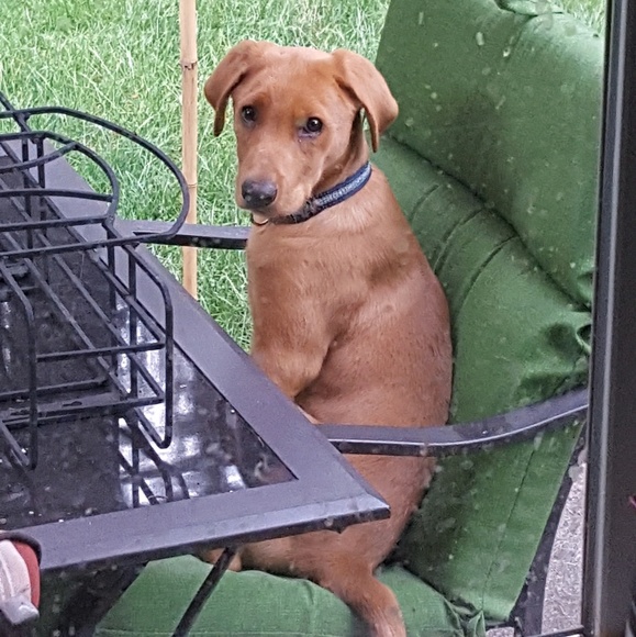 Meet your Posher, Jay - Picture 1 of 1