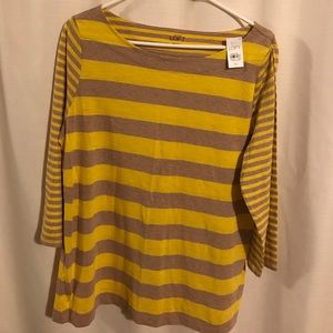 NWT Loft striped shirt