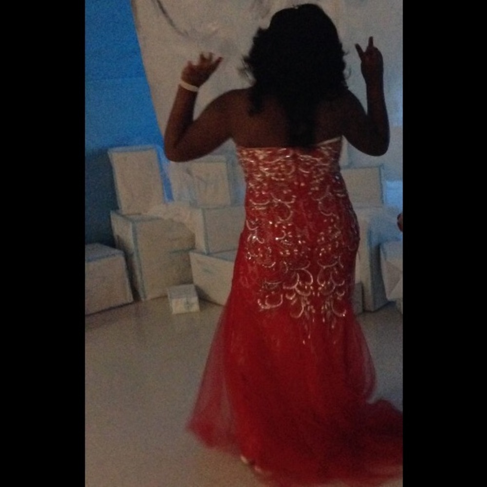 Prom Dress - Picture 3 of 3