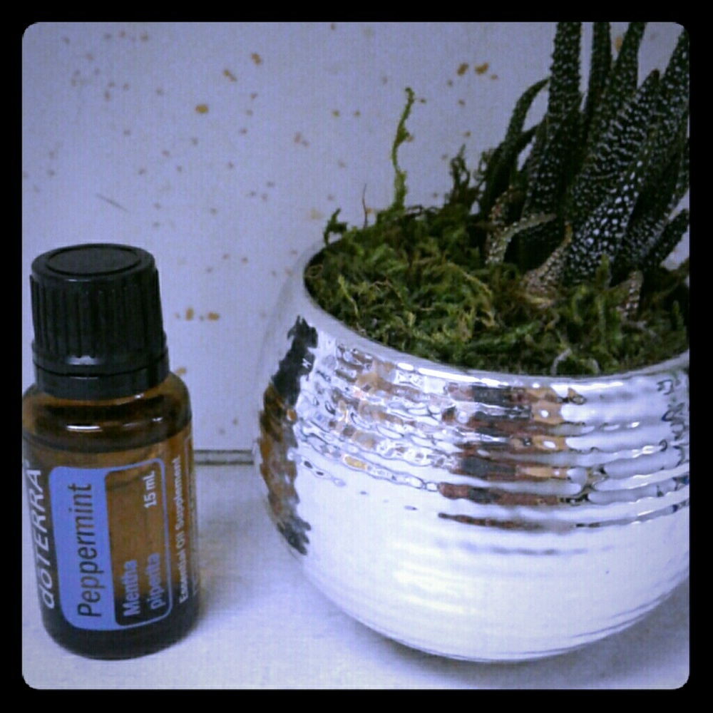 Doterra Peppermint EO, Brand New, Unopened