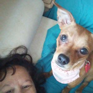 Meet your Posher, Jenny