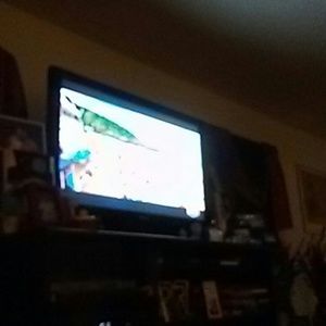 Meet your Posher, Alif