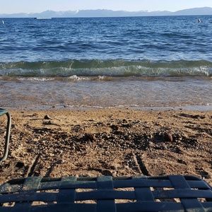 Meet your Posher, Nora