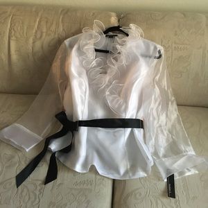 Organza Ruffled blouse
