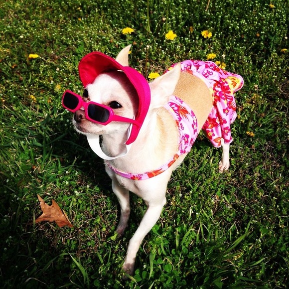 Meet your Posher, Katie - Picture 3 of 3