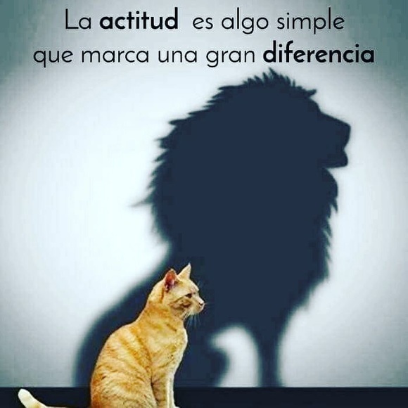 Meet your Posher, Bianca - Picture 1 of 1