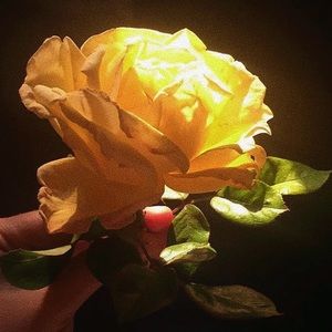 Meet your Posher, Burt