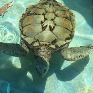 Meet your Posher, Justyna