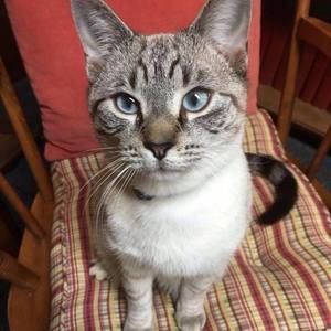 Meet your Posher, Clara