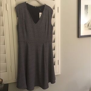 Ann Taylor navy and white dress